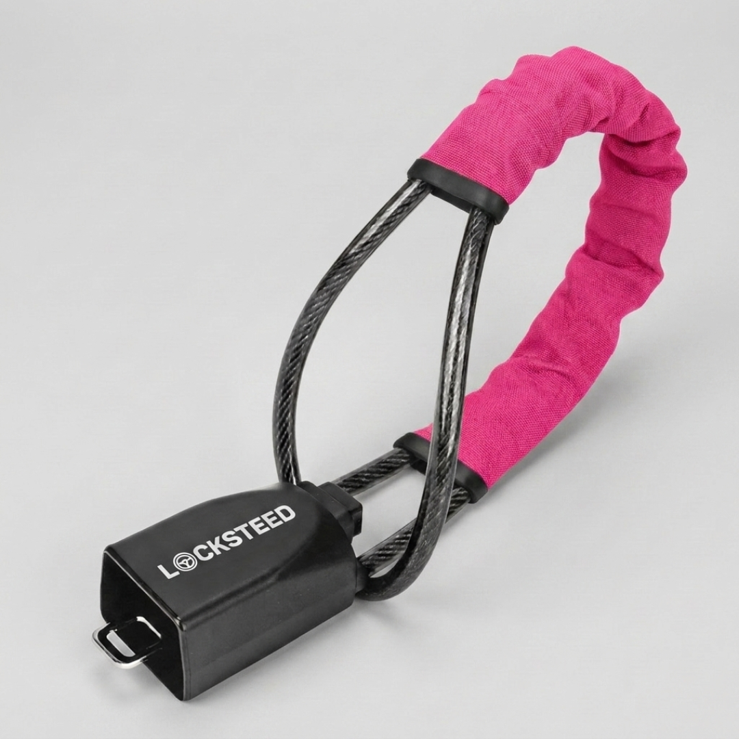 LOCKSTEED™ Driveway Defender